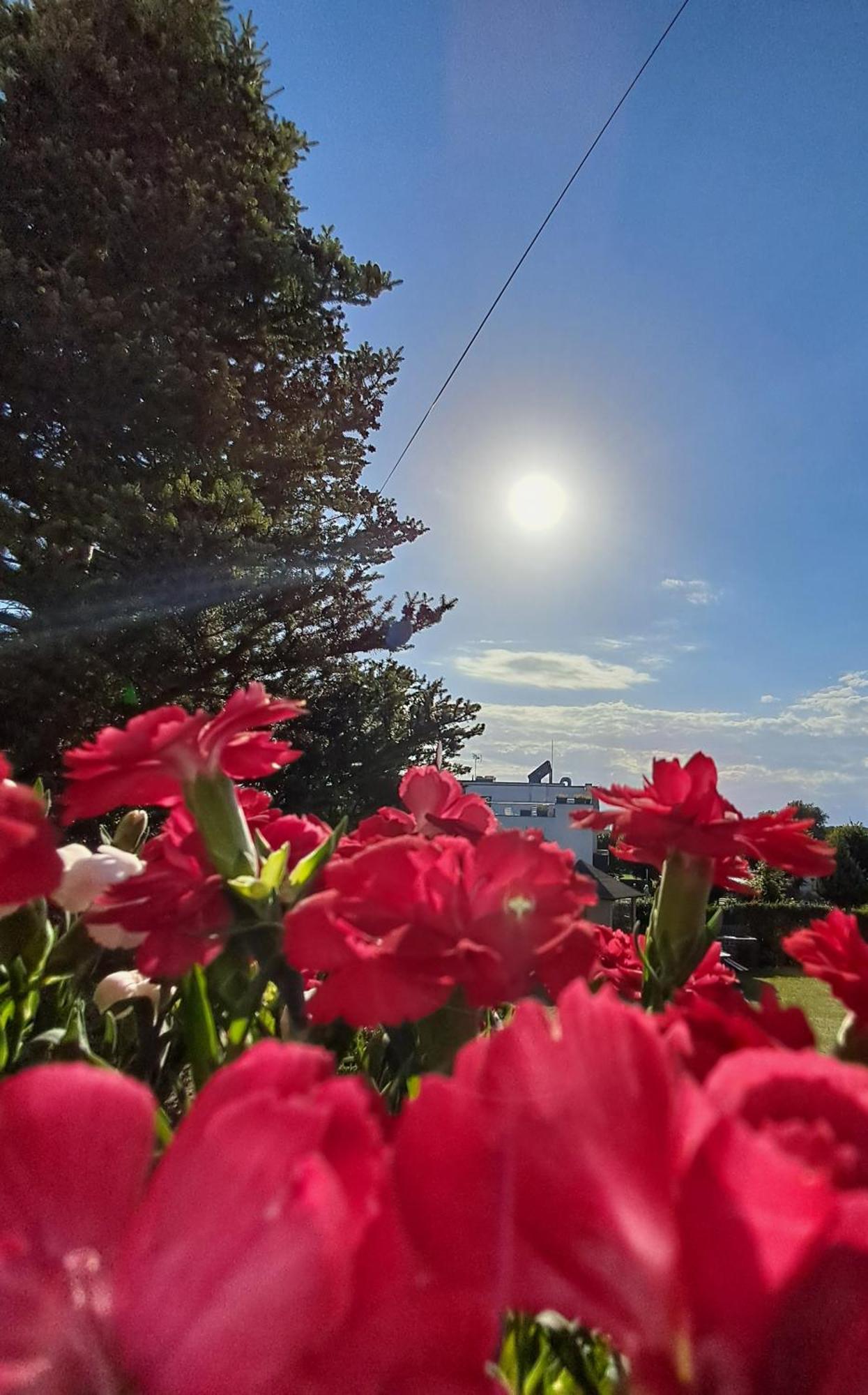 Dom Goscinny Piaf Rewal Exteriér fotografie